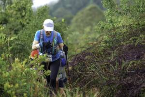 BIB: 
                            <button type="button" onclick="openModal(24760561)" class="btn btn-primary btn-sm float-right btn-popup" data-toggle="modal" data-target=".modal-high-quality">
                        <i class="fas fa-shopping-cart"></i> Add to Cart
                    </button>
                                            <button type="button" onclick="isThisMe(24760561, true)" class="btn btn-success btn-sm float-right btn-popup btn-isme hidden" data-toggle="tooltip" data-placement="bottom" title="นี่คือรูปของคุณใช่ไหม คลิกที่นี่เพื่อเอาเข้าอัลบั้ม">
                        <i class="fas fa-plus"></i> Add to album
                    </button>
                    <button type="button" onclick="isThisMe(24760561, false)" class="btn btn-warning btn-sm float-right btn-popup btn-isnotme hidden">
                        <i class="fas fa-ban"></i> Remove from album
                    </button>